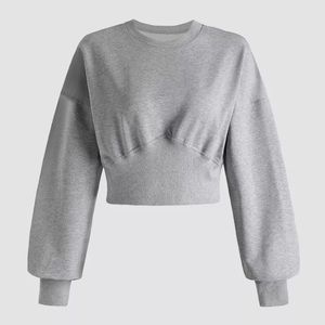 EUC Cropped sweatshirt